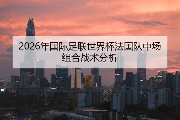 2026年国际足联世界杯法国队中场组合战术分析